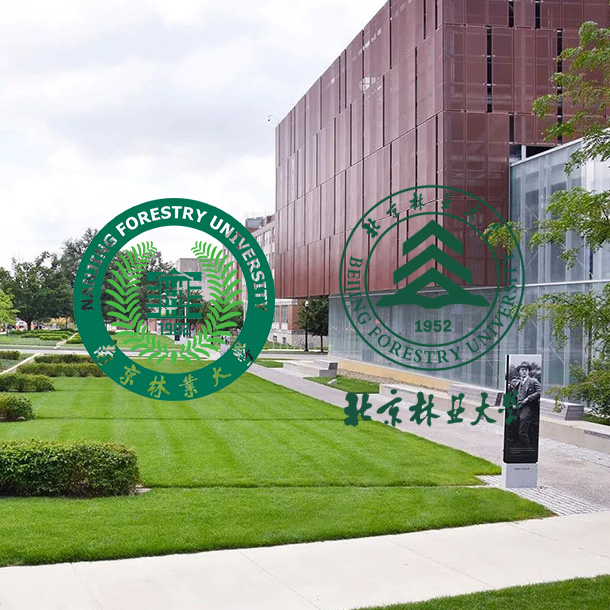 Công ty TNHH Vật liệu trang trí An Huy Guanming